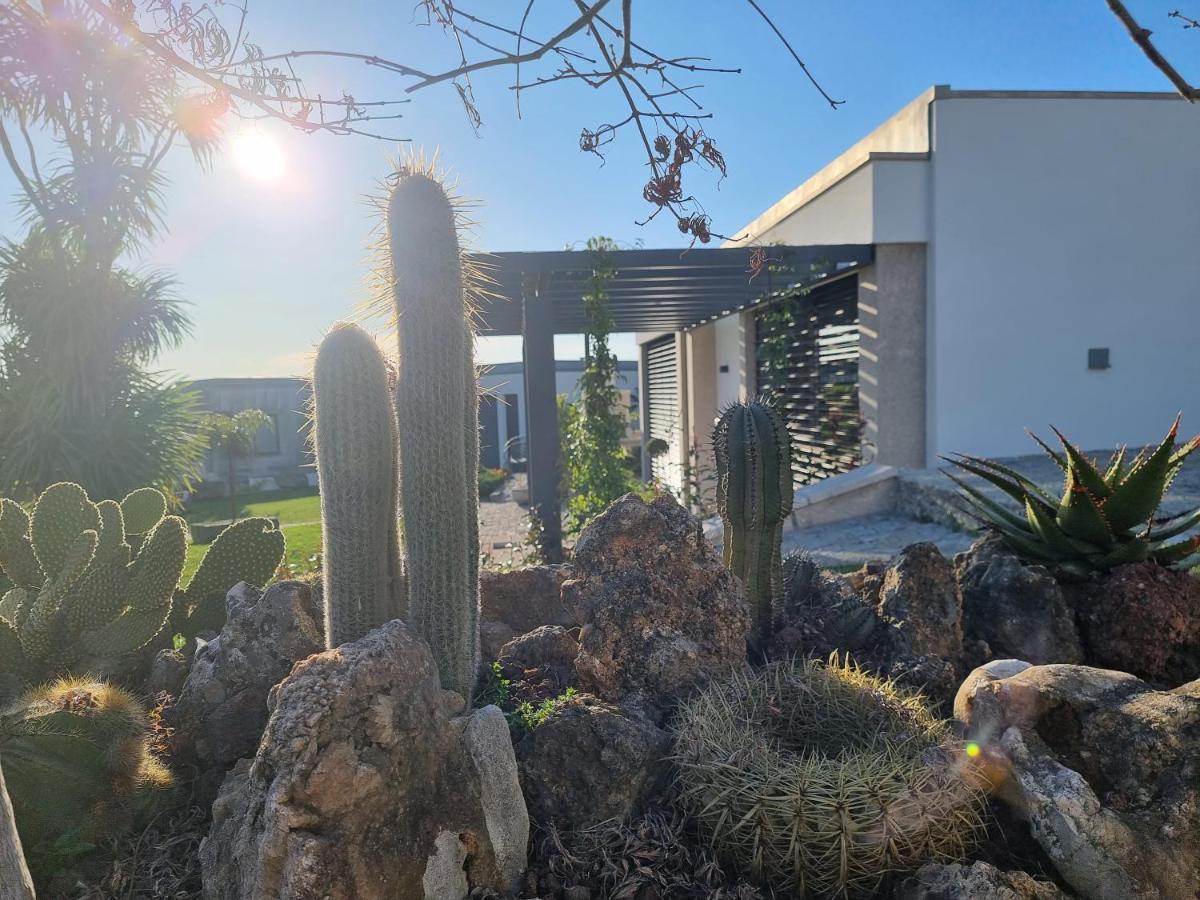 Villa Casa Da Leira Amarante Esterno foto