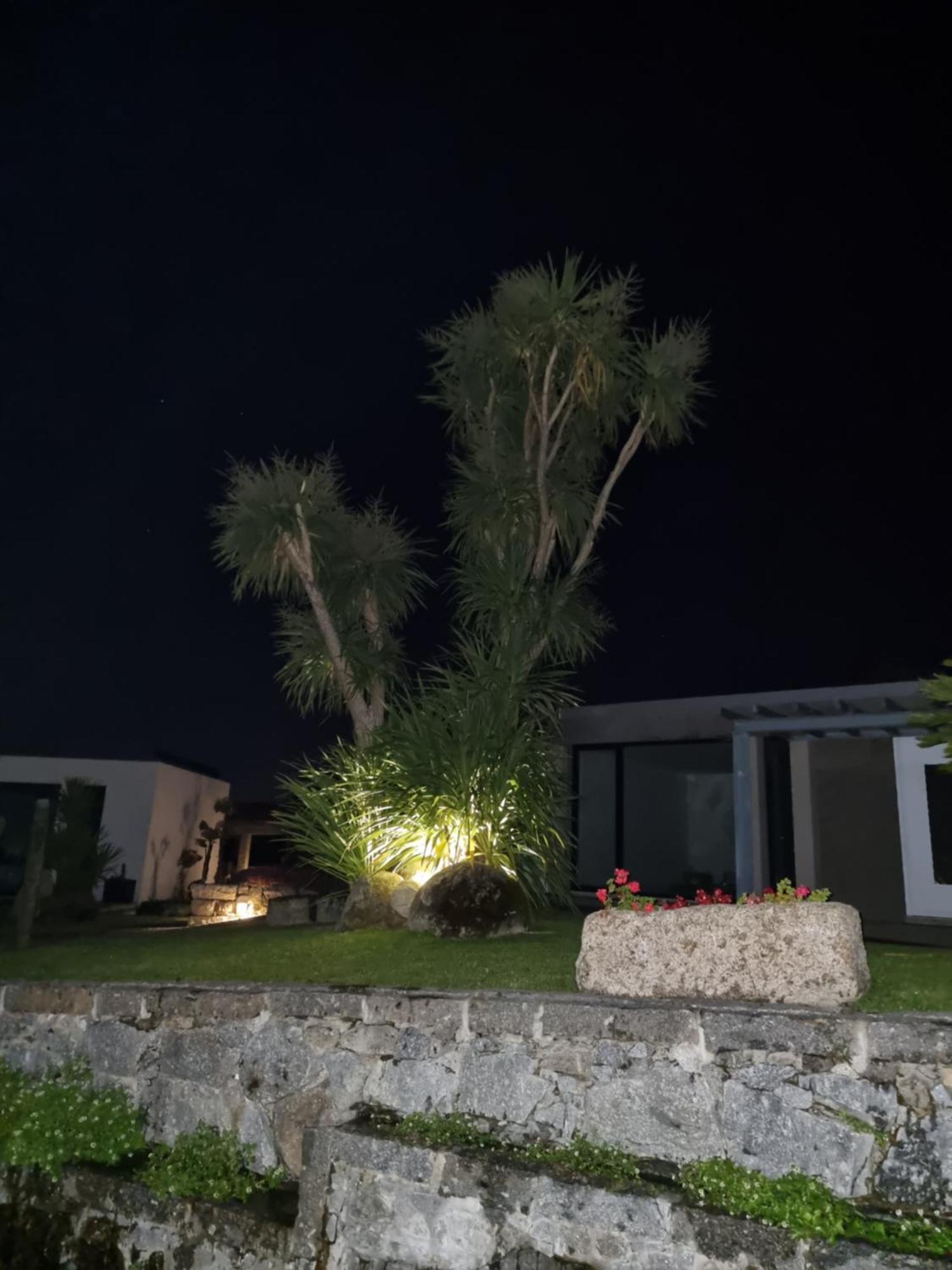 Villa Casa Da Leira Amarante Esterno foto