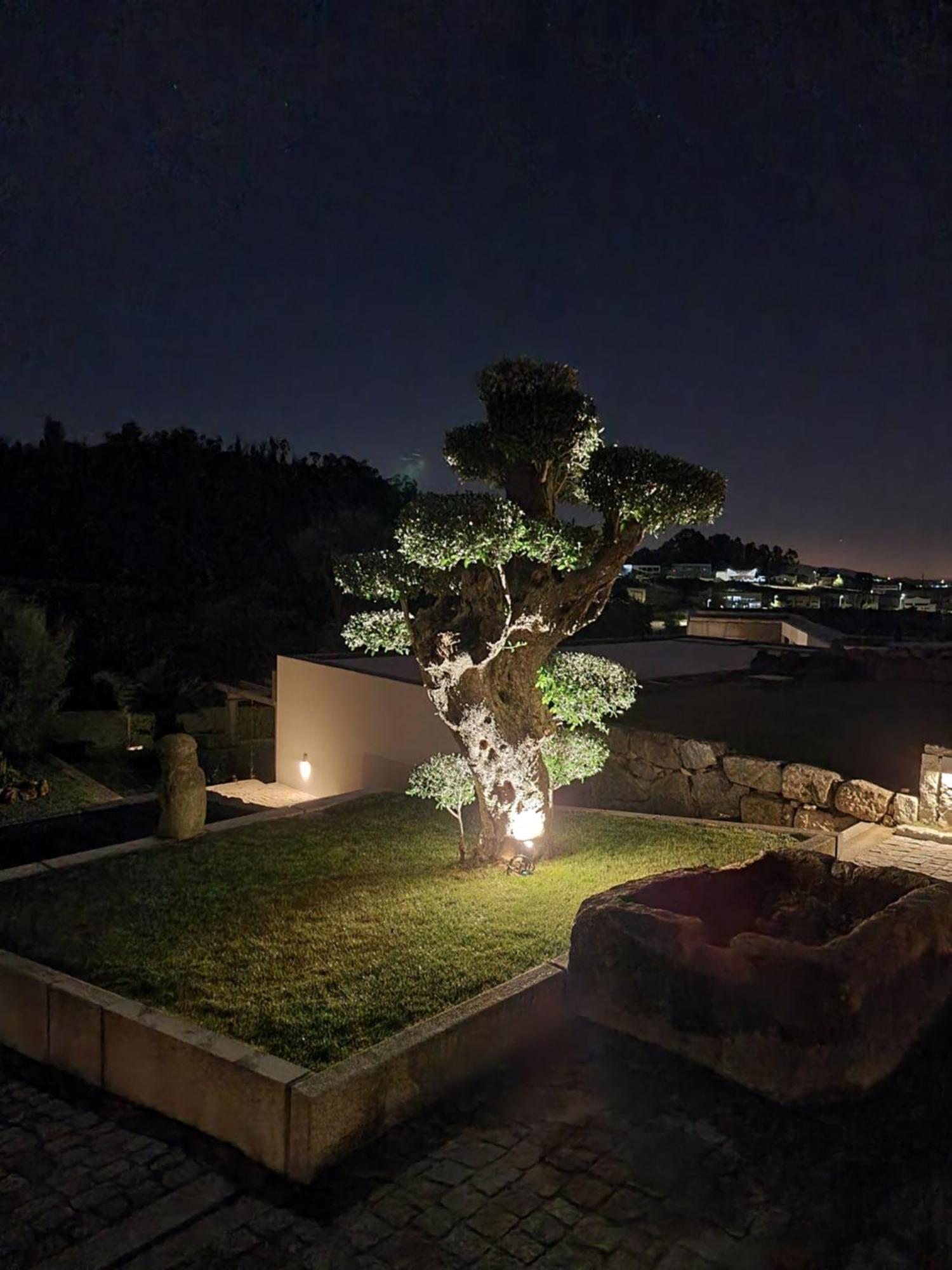 Villa Casa Da Leira Amarante Esterno foto