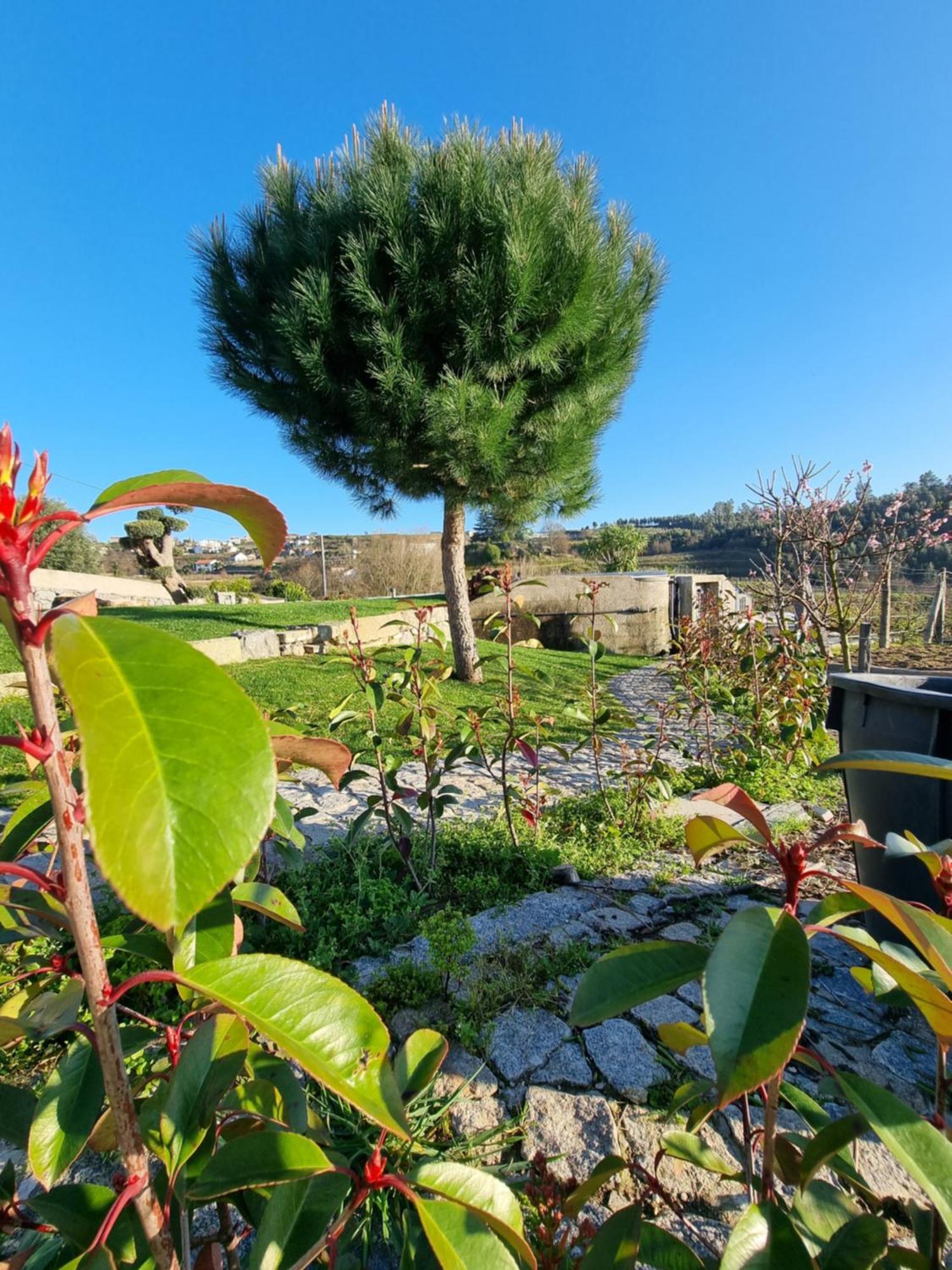 Villa Casa Da Leira Amarante Esterno foto