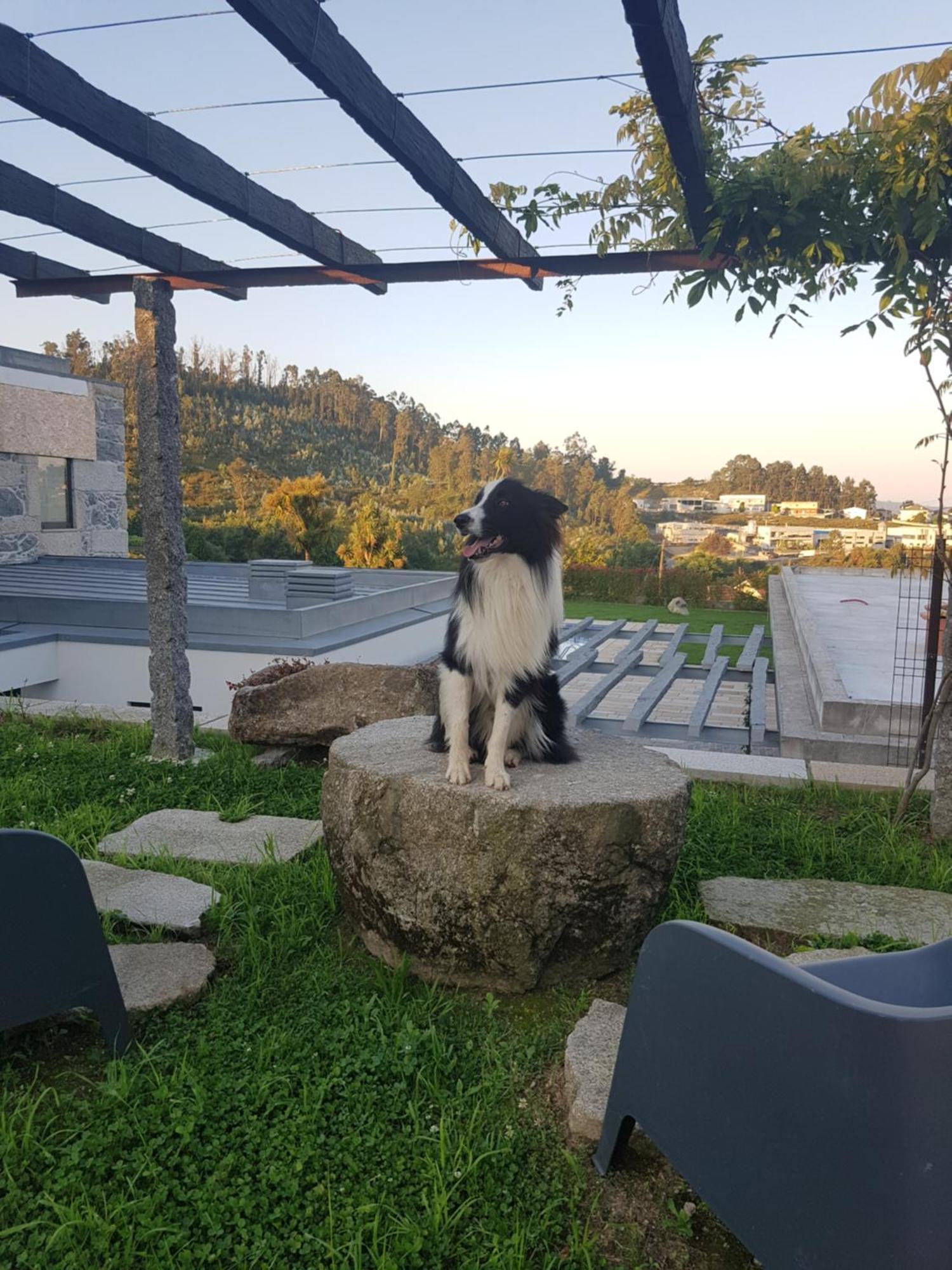 Villa Casa Da Leira Amarante Esterno foto