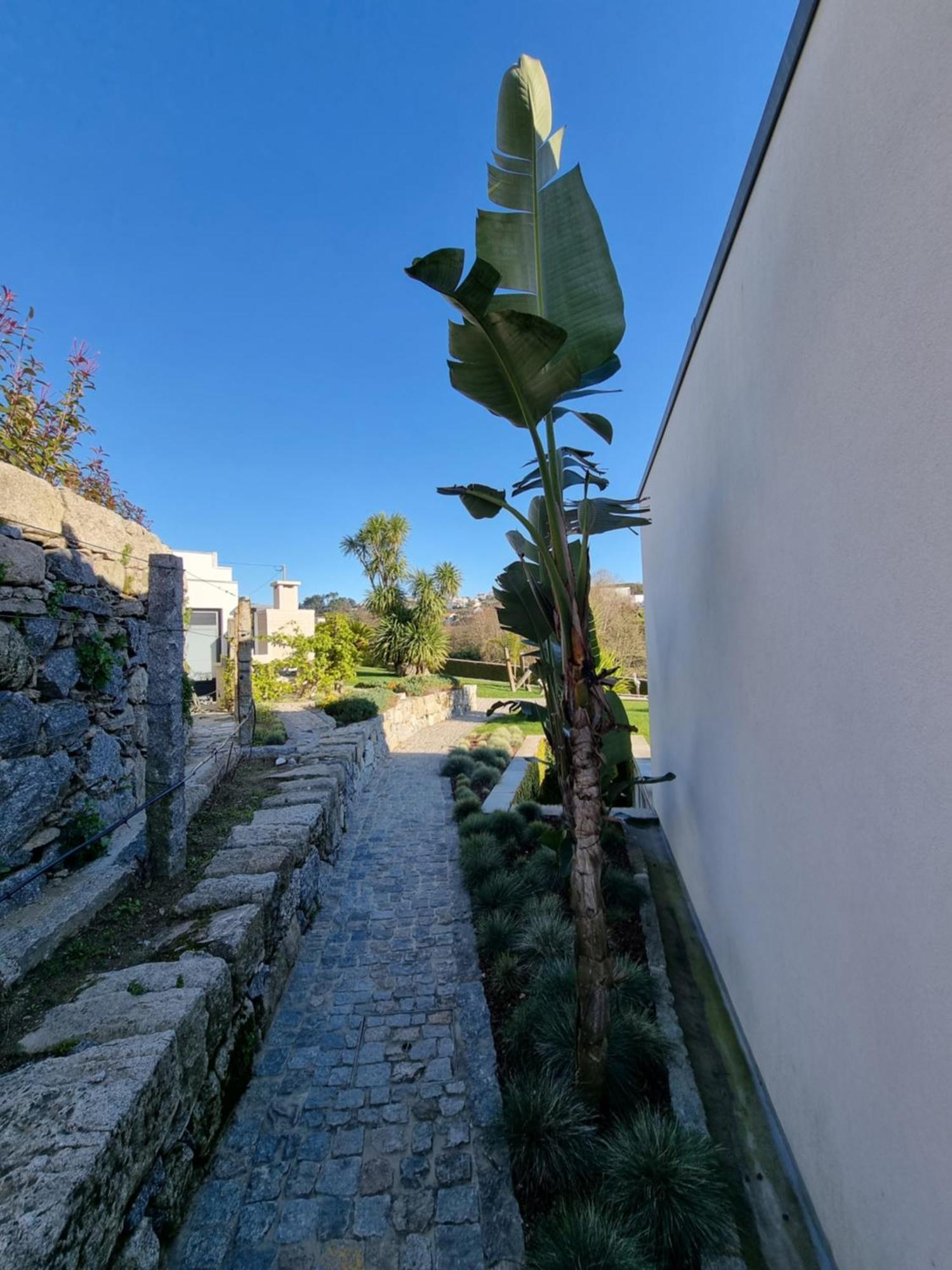 Villa Casa Da Leira Amarante Esterno foto