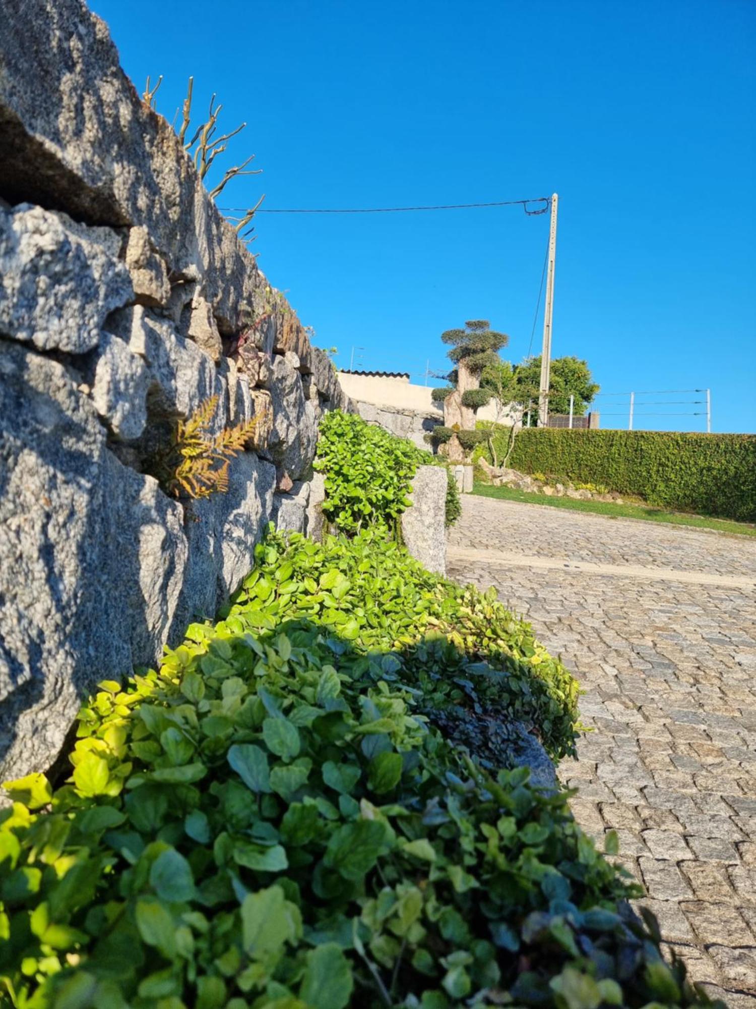 Villa Casa Da Leira Amarante Esterno foto