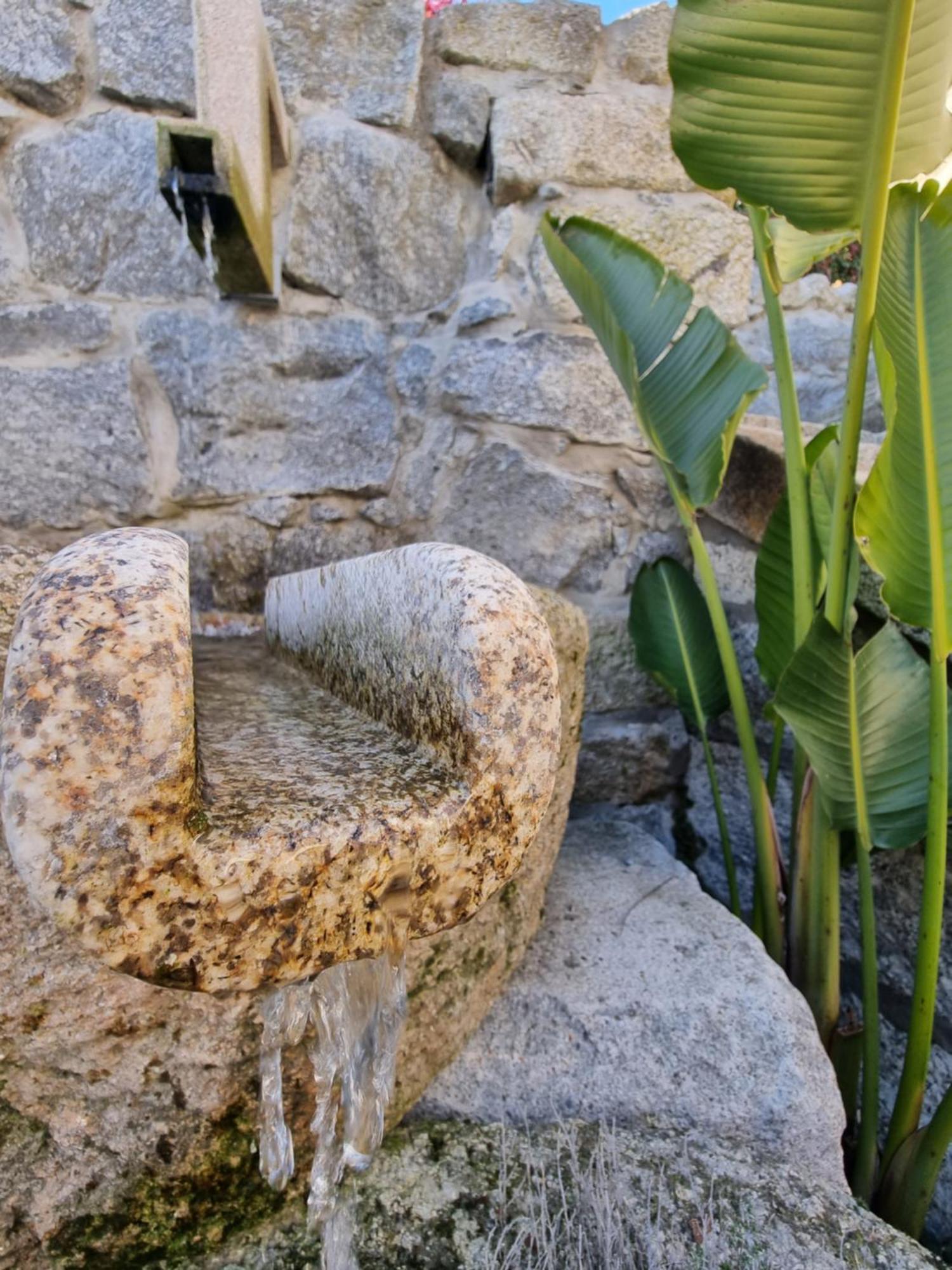 Villa Casa Da Leira Amarante Esterno foto
