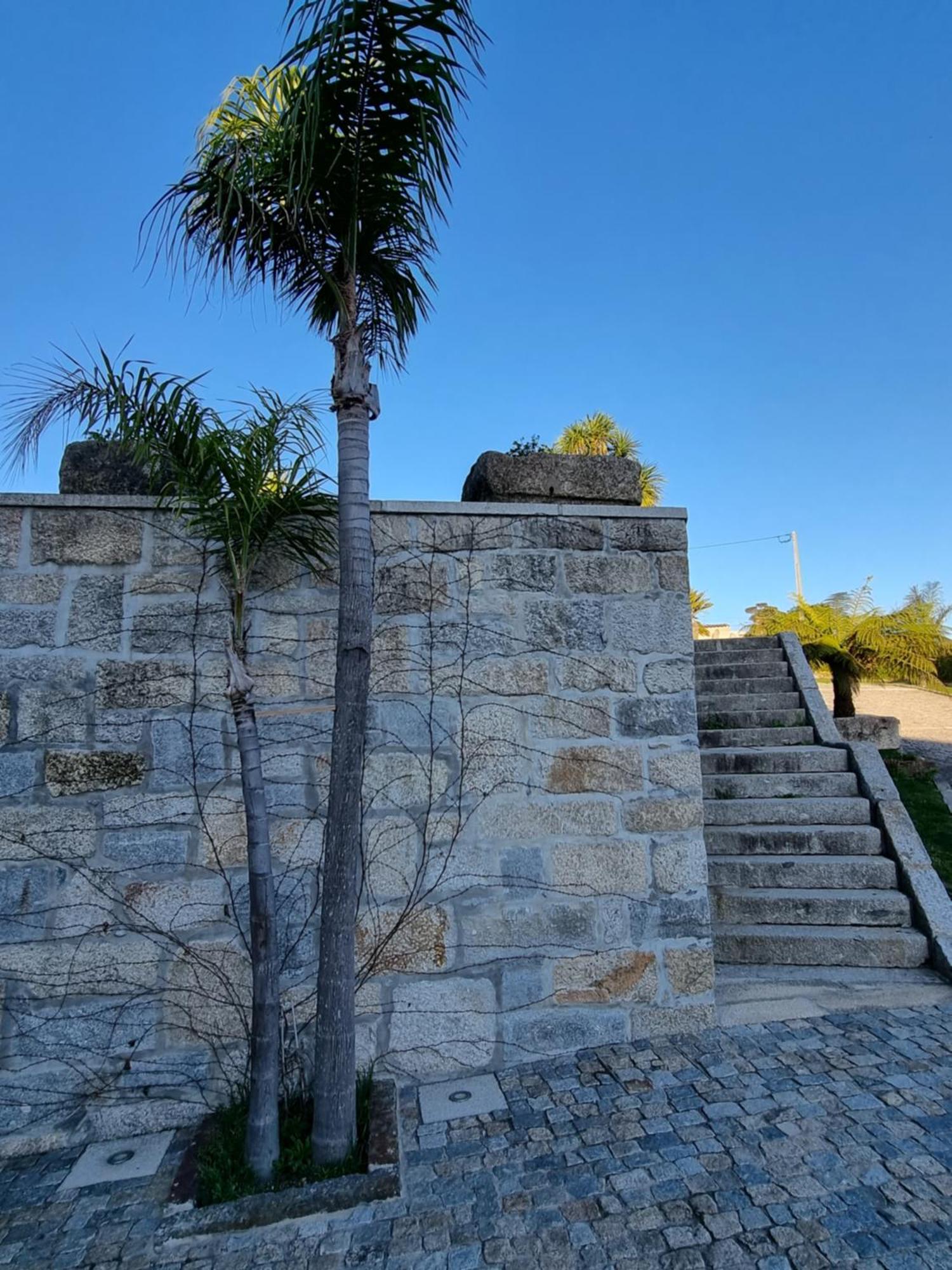 Villa Casa Da Leira Amarante Esterno foto