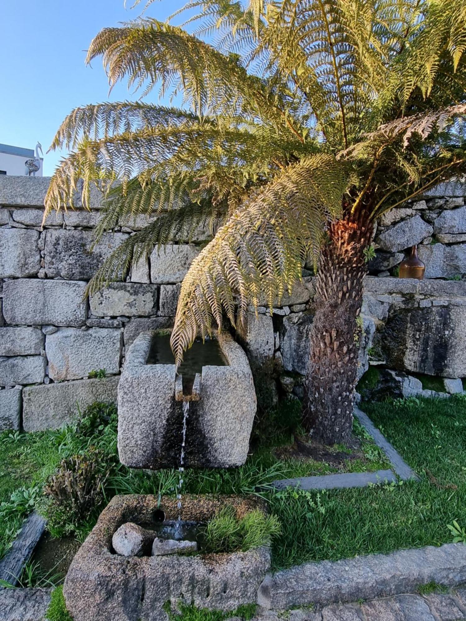 Villa Casa Da Leira Amarante Esterno foto